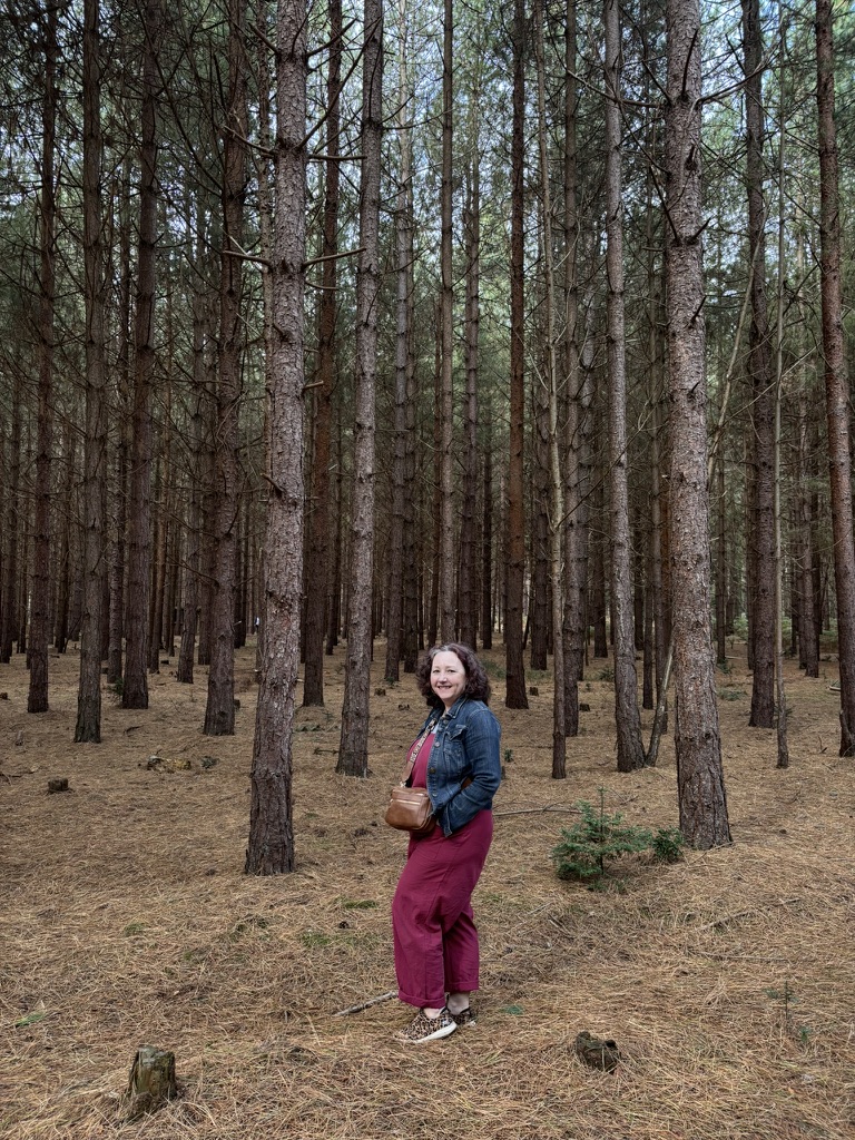 Trees and path details in Rendlesham Forest