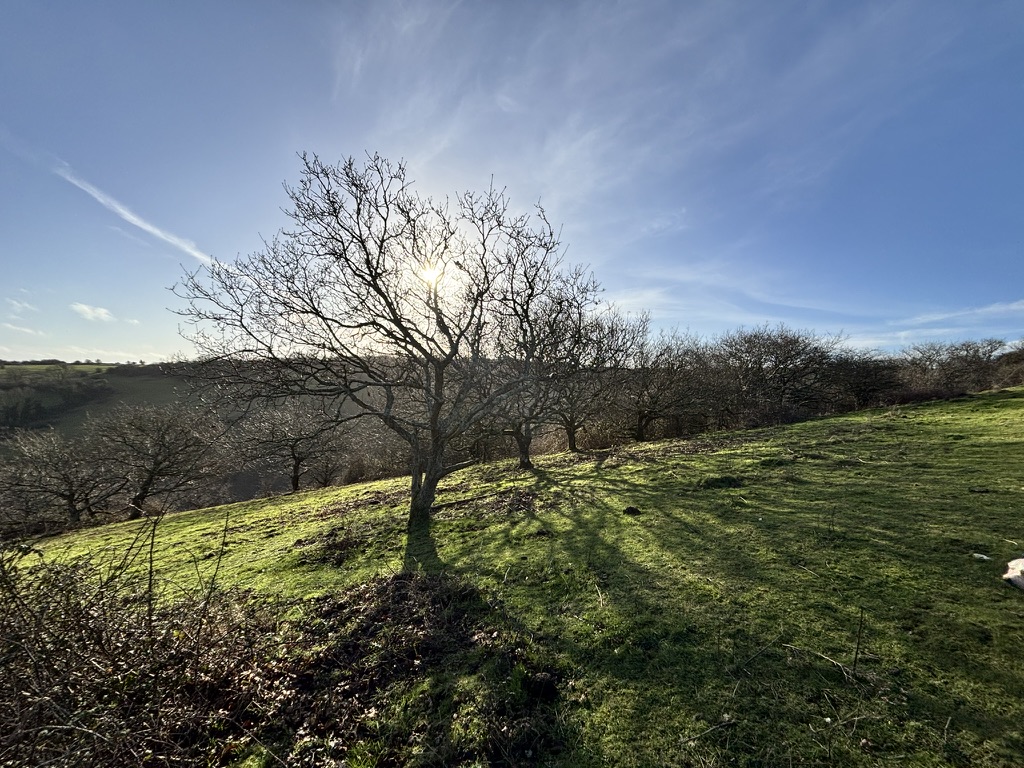 Devil’s Dyke downland landscape details