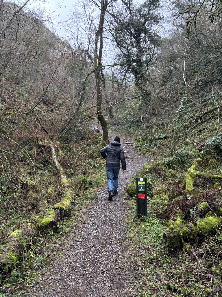 Mossy woodland path through Ebbor Gorge