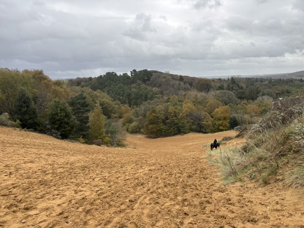 Horse Walking in the Merthyr Mawr dunes