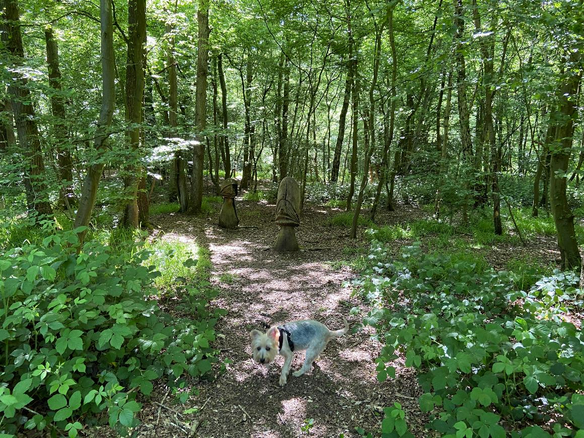 Hainault Forest scenery