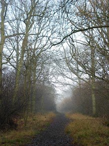 Hatfield Forest lake and woodland