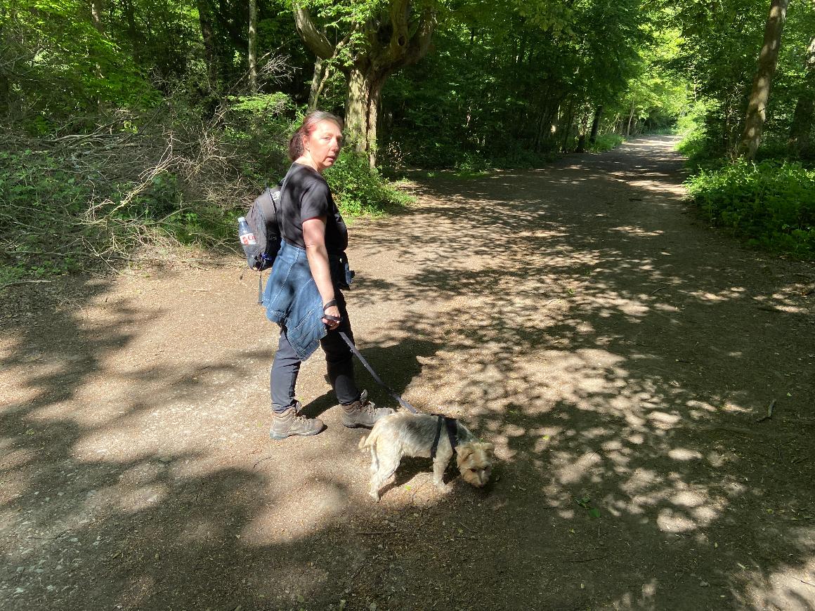 In the woodland at Hainault Forest