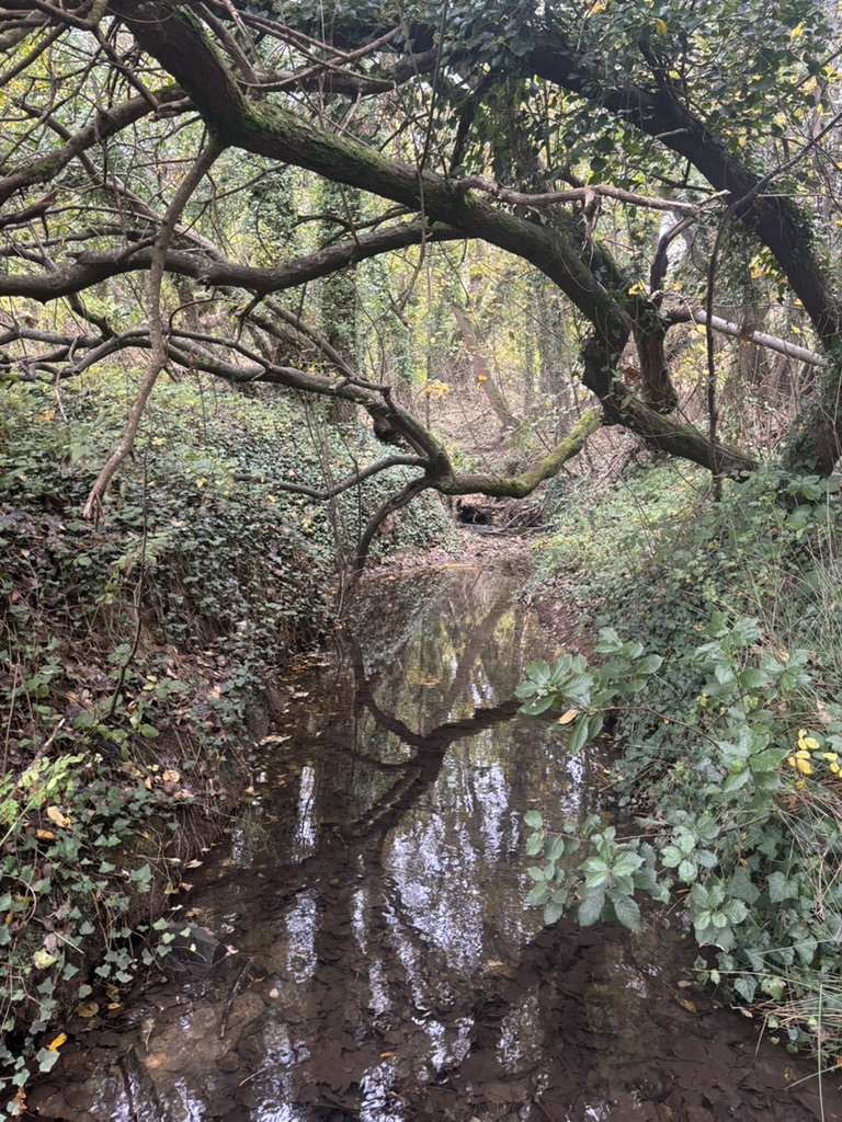 Merthyr Mawr dunes near the river