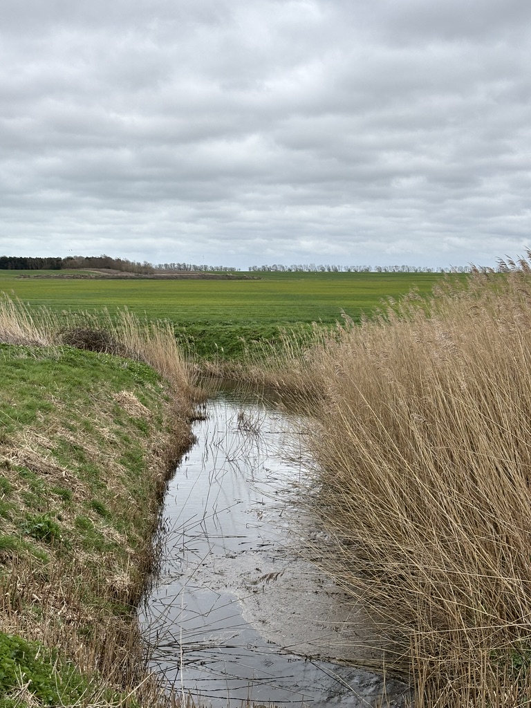 Quiet country lane near RSPB Capel Fleet