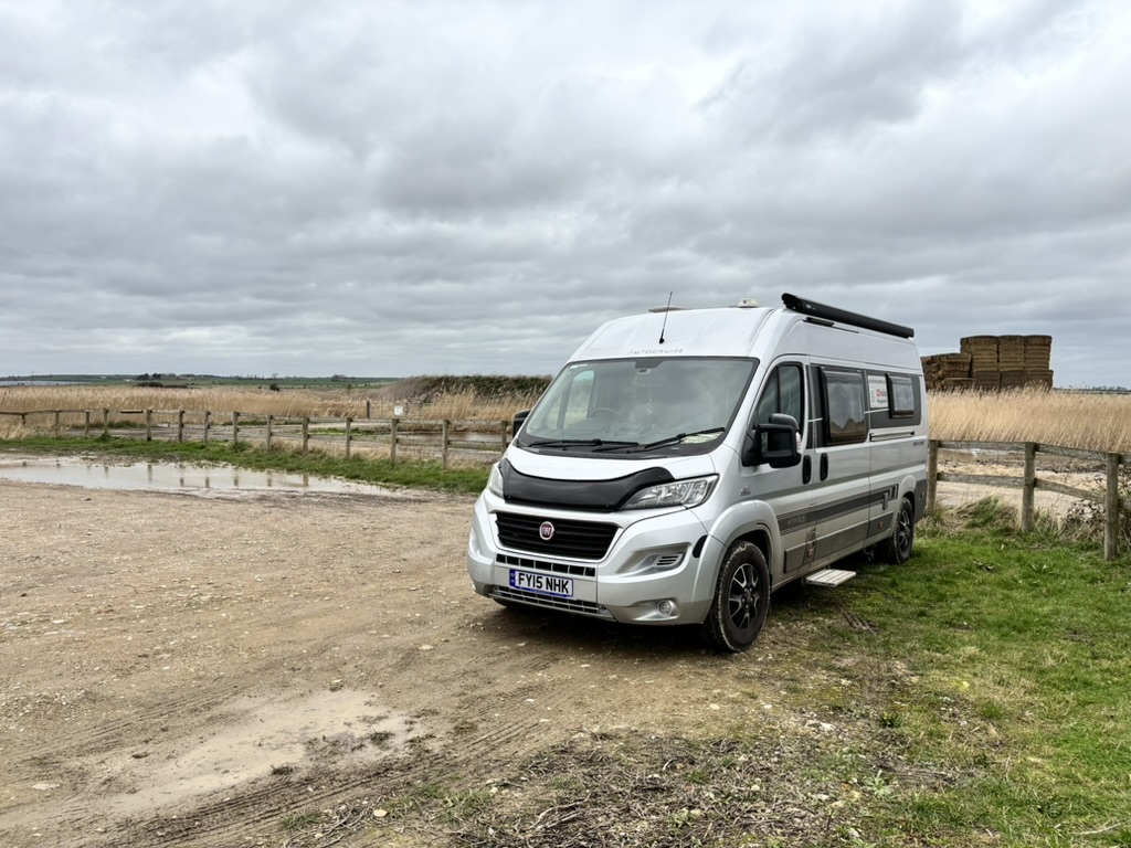 Birds of prey over the fields at Capel Fleet
